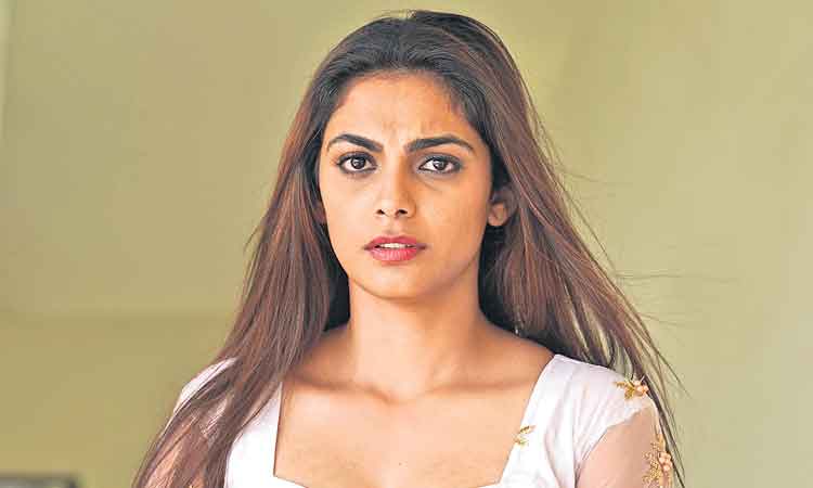 ‘ఇంటి నెం.13’లో ఏం జరిగింది?