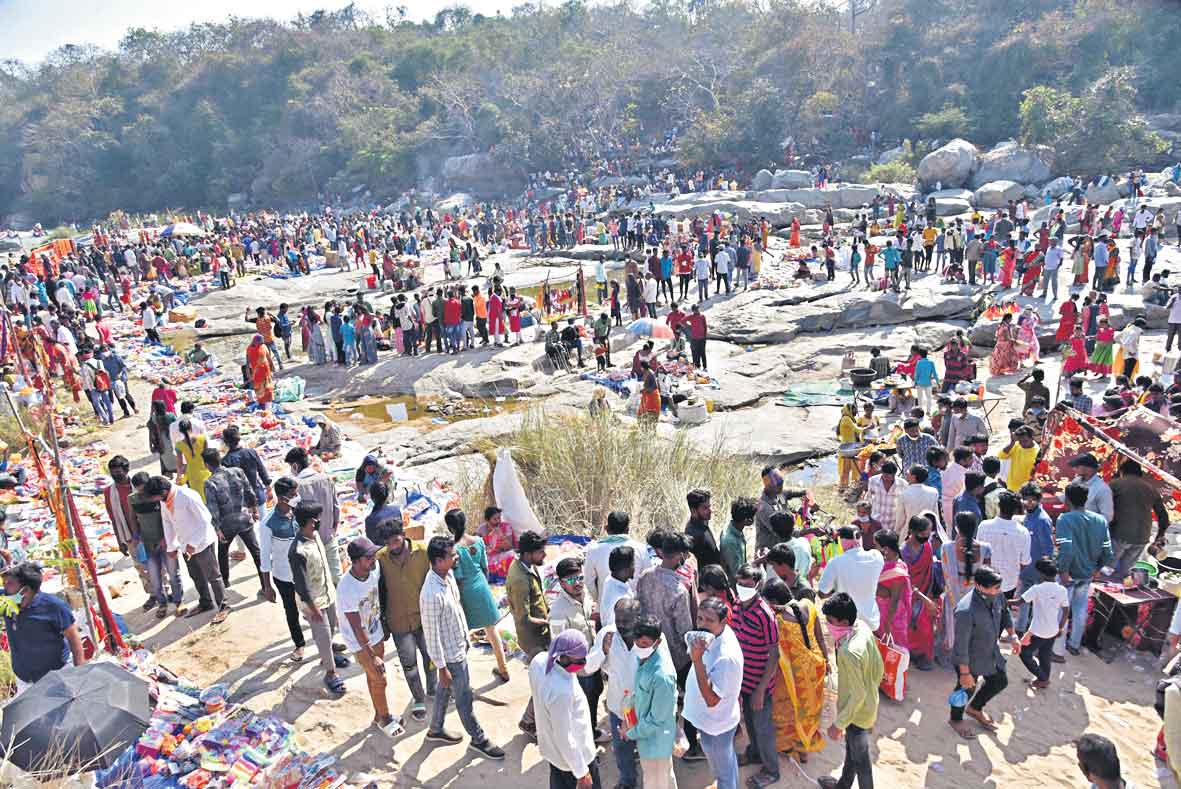 జన సింగరాయ