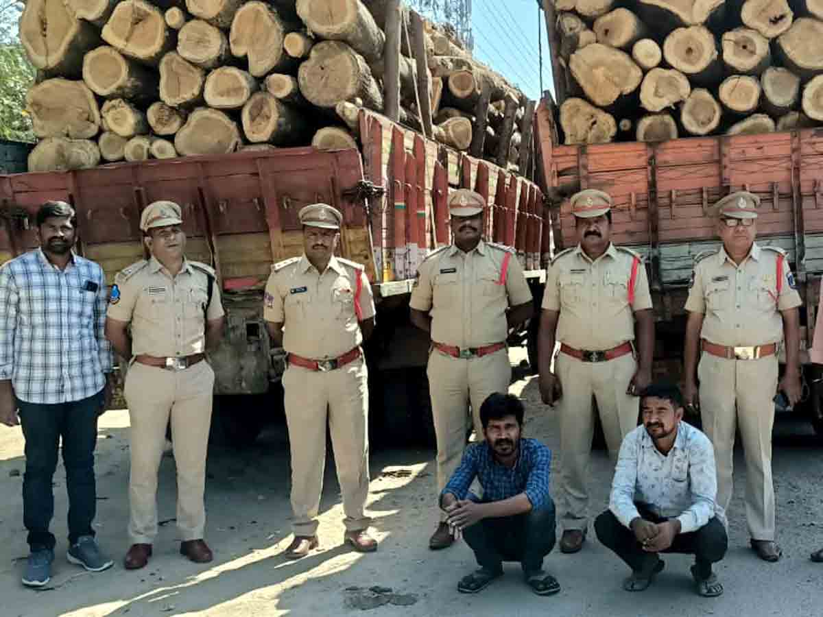 Crime : కలప లారీల పట్టివేత.. కేసు నమోదు..