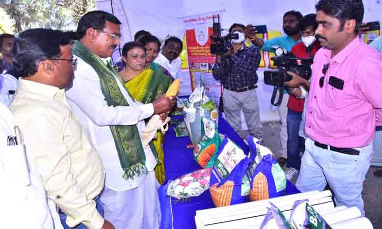 సమీకృత సాగుపై దృష్టి సారించాలి