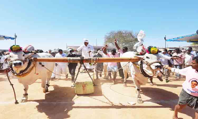 ప్రతి ఎకరాకూ సాగునీరు