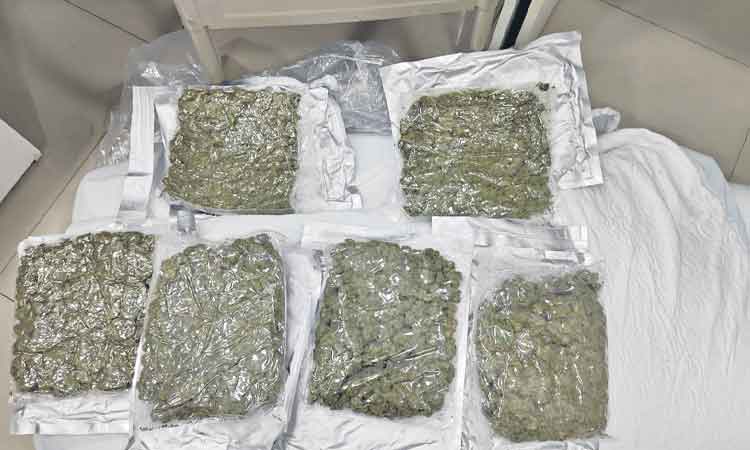 అమెరికా నుంచి హైగ్రేడ్‌ గంజాయి