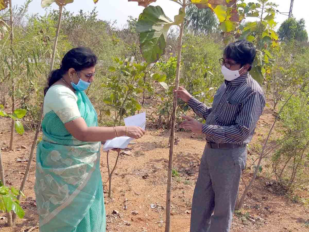 Shadnagar : హరితహారంలో అందరిని భాగస్వాములు చేయాలి..