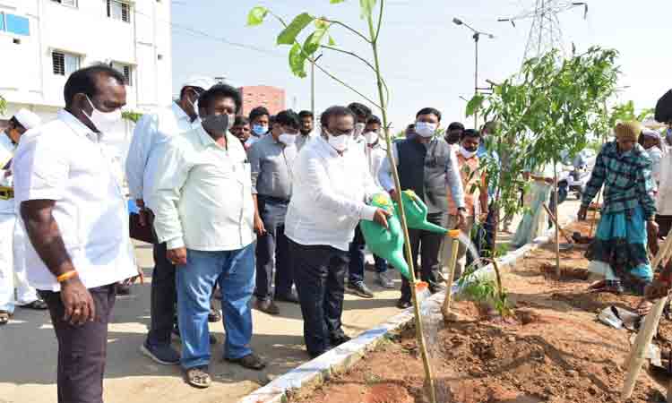 హరితహారంపై దృష్టి సారించాలి