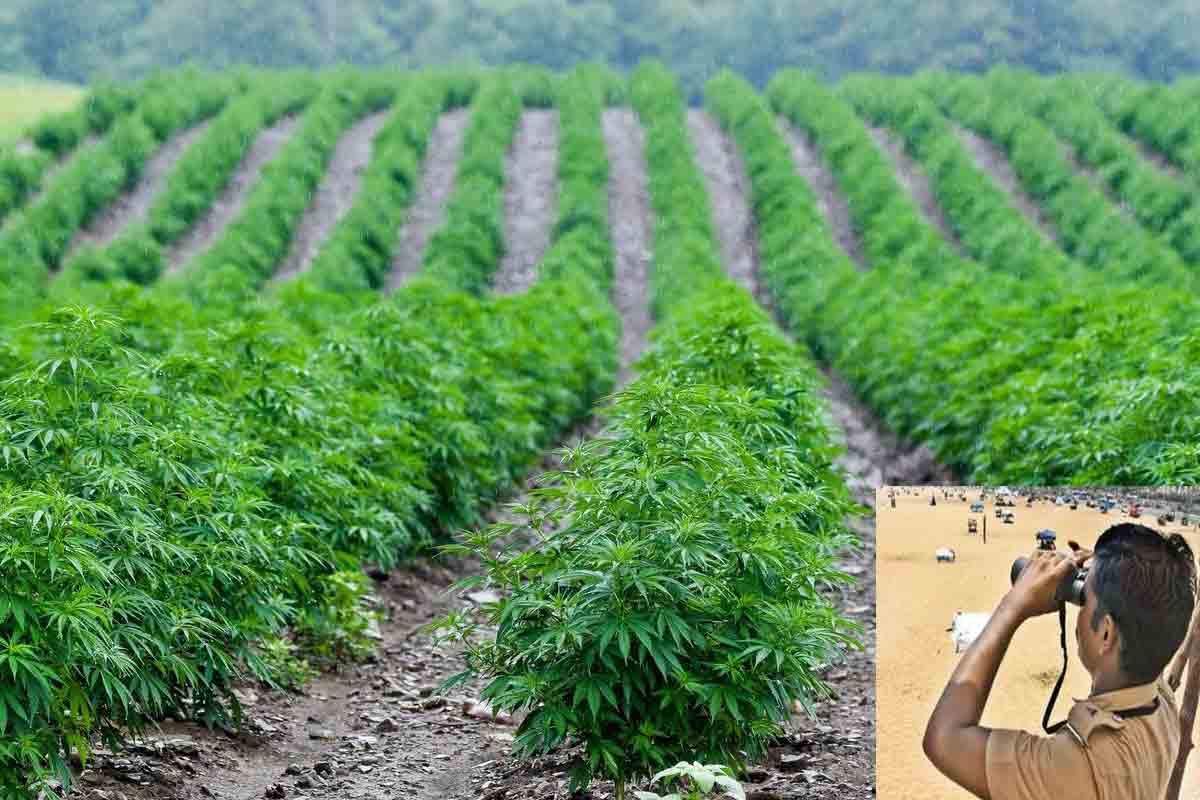 మత్తు పై నిఘూ