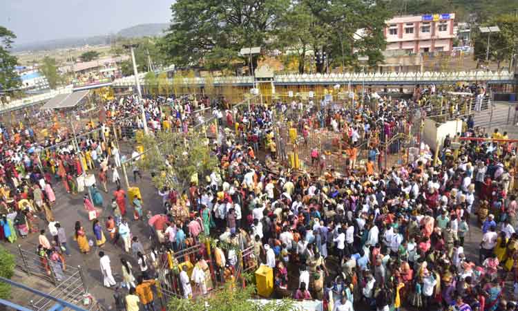 మేడారం.. జనసంద్రం