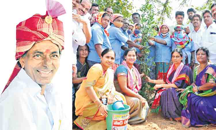 నిండు నూరేండ్లు..సీఎం కేసీఆర్‌ ఆయురారోగ్యాలతో వర్ధిల్లాలని టీఆర్‌ఎస్‌ శ్రేణుల ప్రత్యేక పూజలు, ప్రార్థనలు