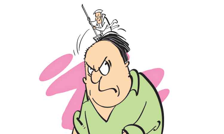 పేనుకు పెత్తనమిస్తే నెత్తంత గొరిగిందట