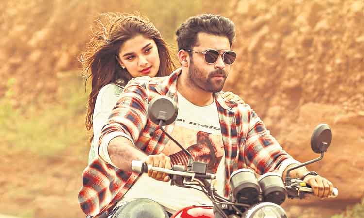 గని బరిలో దిగితే..