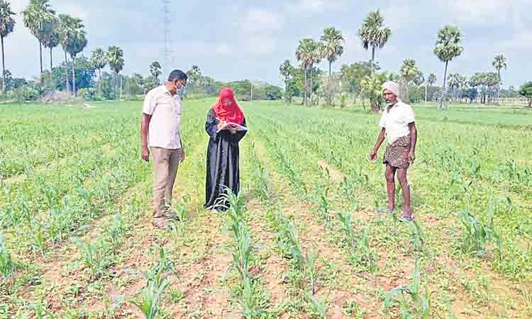 సజావుగా యాసంగి సాగు