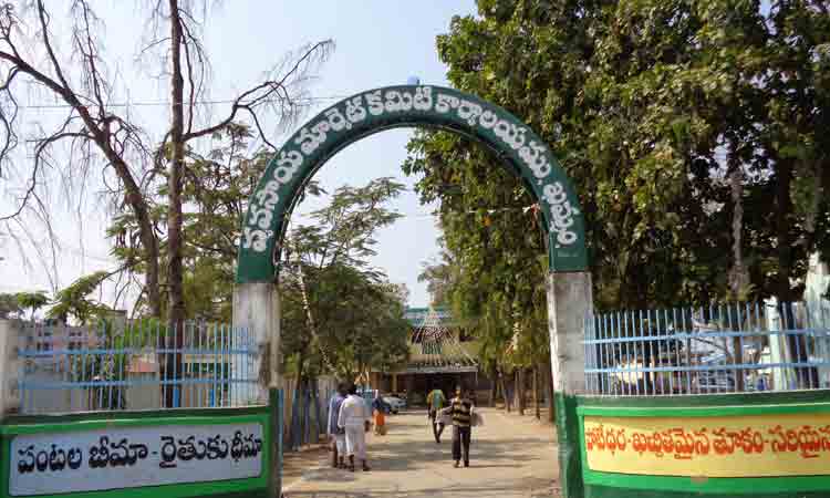 వ్యవసాయ మార్కెట్లకు ఆర్థిక పరిపుష్టి