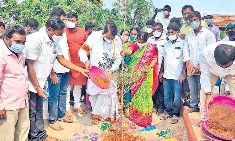 బర్త్‌డే సందర్భంగా మొక్క నాటిన స్పీకర్‌