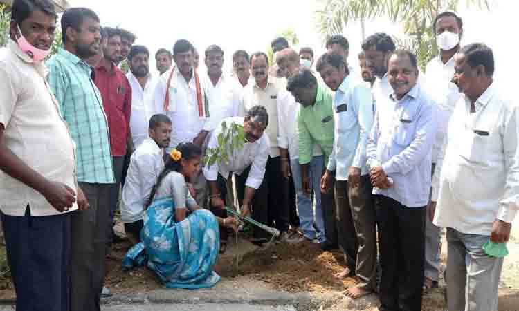 మొక్క నాటి.. కేక్‌ కట్‌ చేసి..