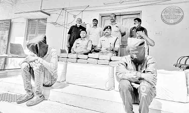 నల్లబల్లిలో భారీగా గంజాయి పట్టివేత