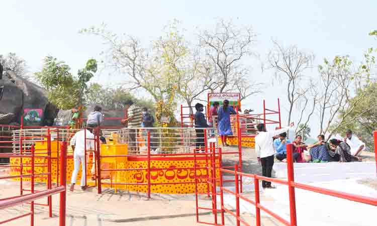 సమ్మక్క-సారలమ్మ జాతరకు ఏర్పాట్లు పూర్తి