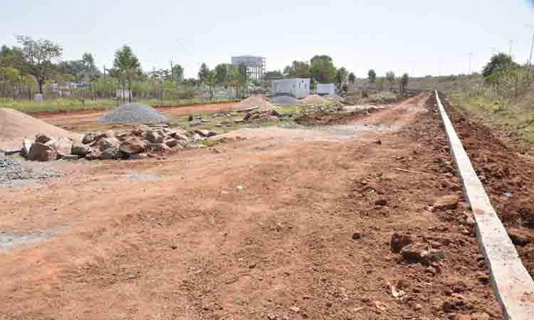 ప్రజారోగ్యానికి బల్దియా పెద్దపీట