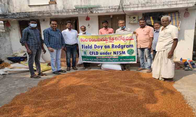 పంట వివరాలను నమోదు చేసుకోవాలి