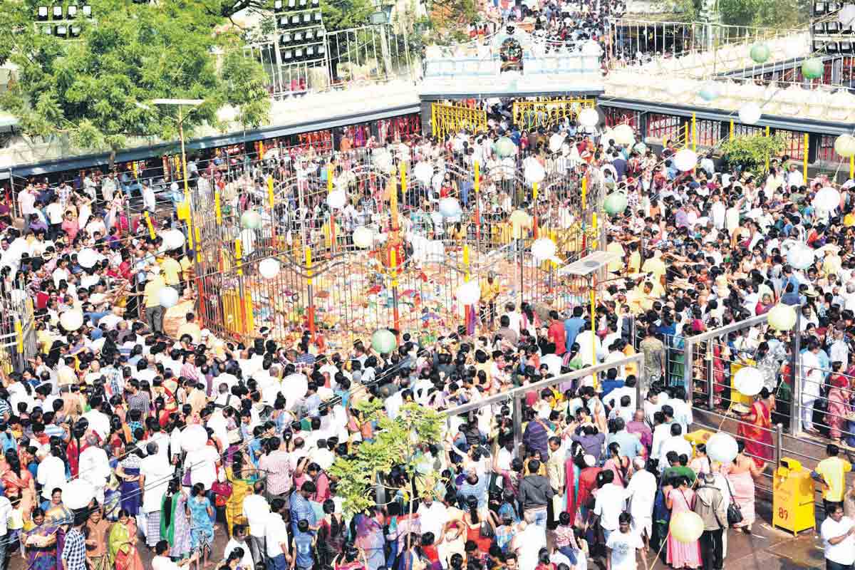 అరచేతిలో మేడారం సమాచారం