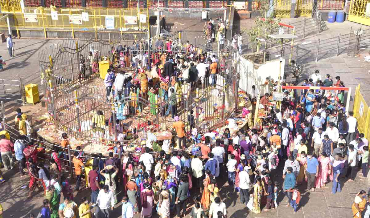 వన దేవతలకు మొక్కులు