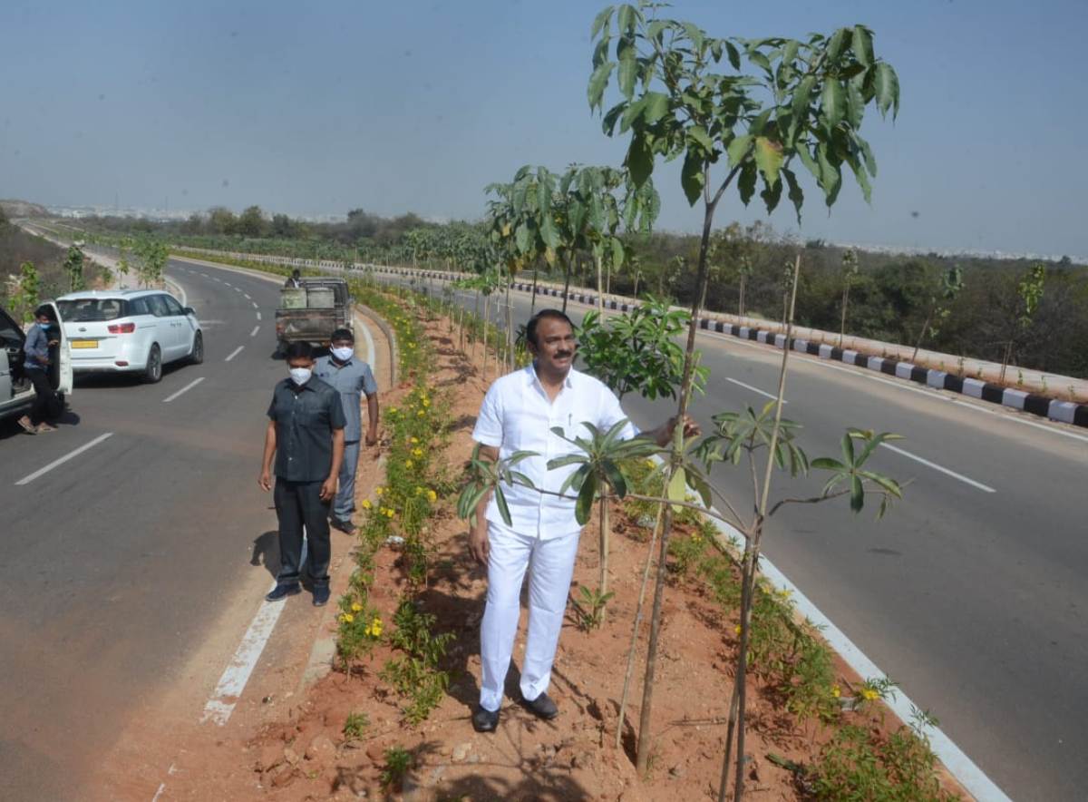 Beautiful plants‌ | అందమైన మొక్కలతో ఆక్సిజన్‌.. ఆహ్లాదకరమైన వాతావరణం : ఎమ్మెల్యే దేవిరెడ్డి సుధీర్‌రెడ్డి