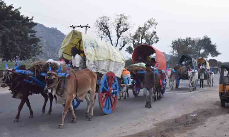 కనులపండువగా..వైభవంగా మన్యంకొండ బ్రహ్మోత్సవాలు