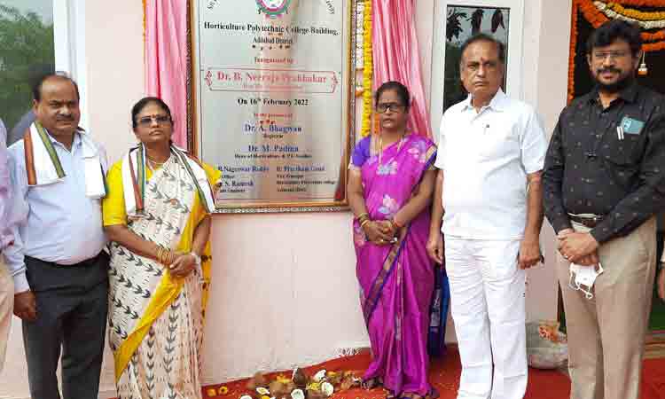 మౌలిక సదుపాయాల కల్పనకు కృషి