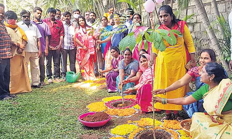 జననేతకు జేజేలు