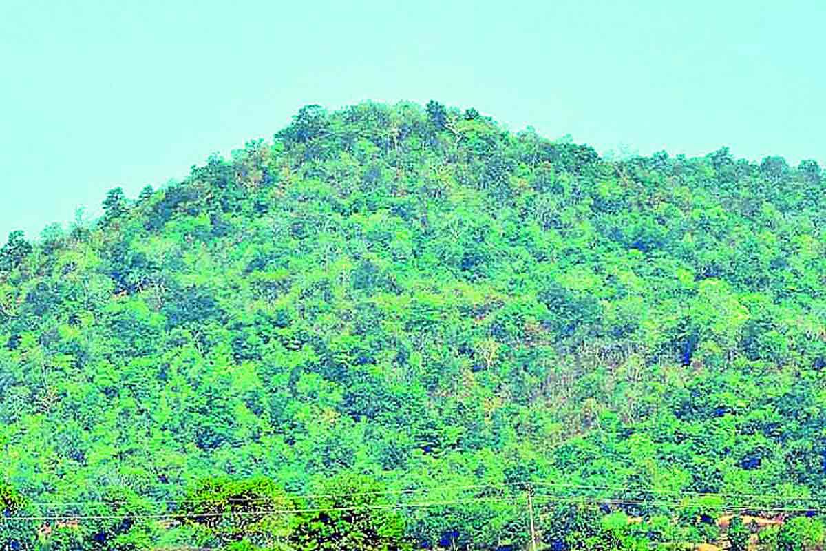 ‘ఉక్కు’ ఆశలపై కేంద్రం నీళ్లు