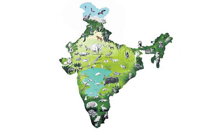 ప్రకృతితో పరాచికాలా?