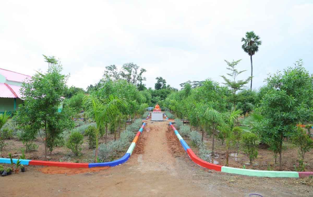 పల్లెలకు ప్రగతి తిలకం