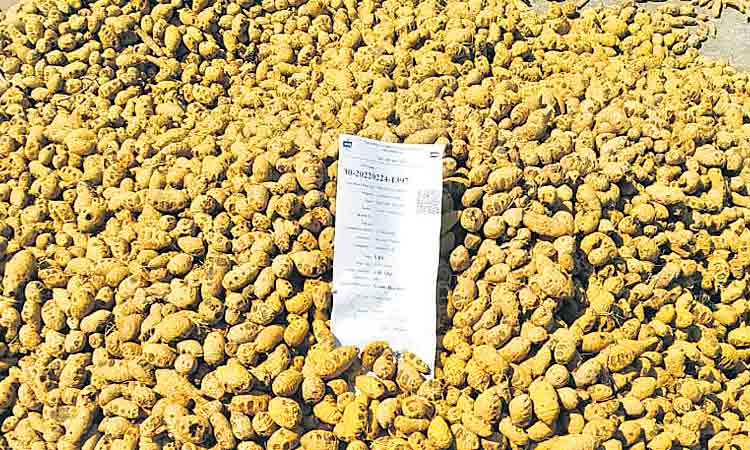 క్వింటాలు ధర 5వేల లోపే!