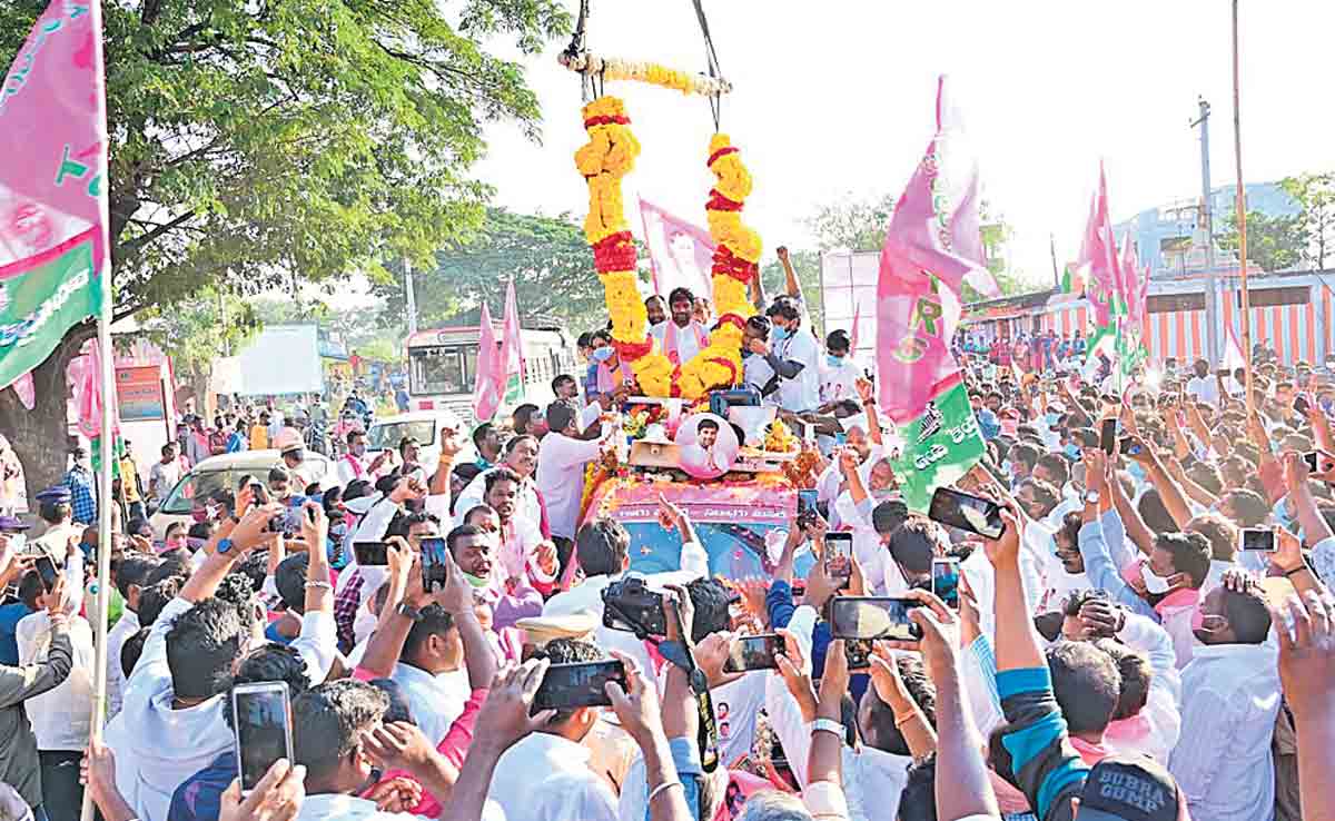 కార్యకర్తలే పార్టీకి పట్టుగొమ్మలు