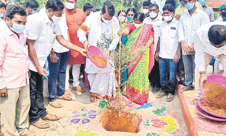 గ్రీన్‌ చాలెంజ్‌ ఓ అద్భుతం