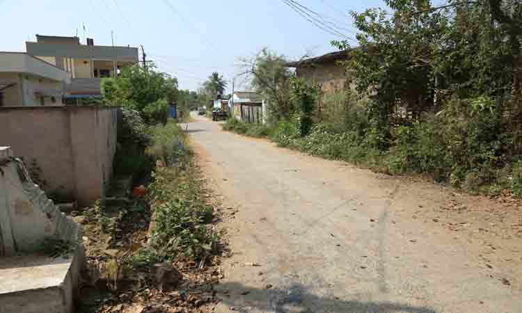 మాకూ కావాలి తెలంగాణ పథకాలు