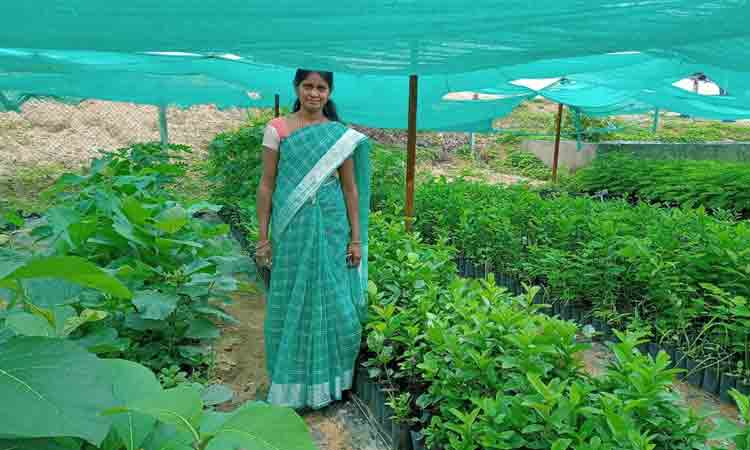 ప్రగతి కాంతుల కుంటాల