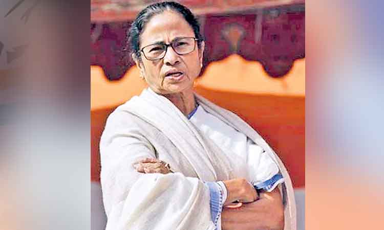 బెంగాల్‌ మున్సిపోల్స్‌లో టీఎంసీ క్లీన్‌స్వీప్‌