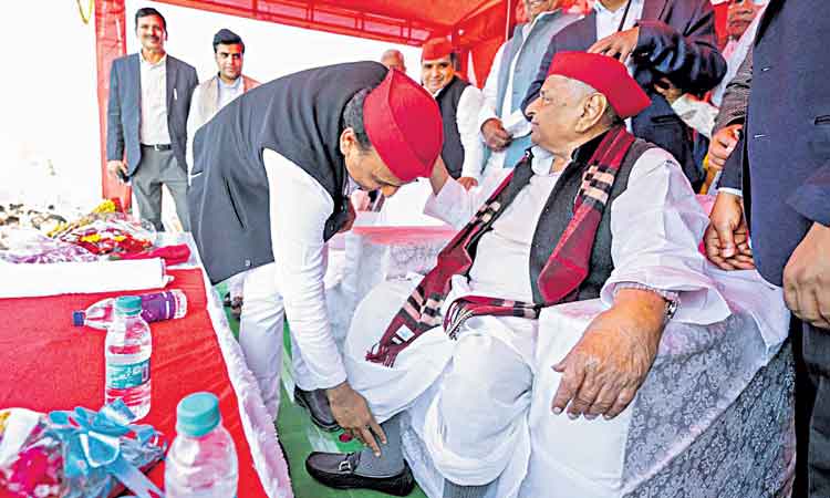 చావో రేవో