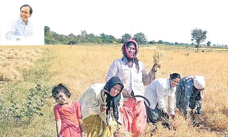 కేసీఆర్‌ ప్రధాని కావాలని కోరుకుంటున్న మరాఠా పల్లెలు