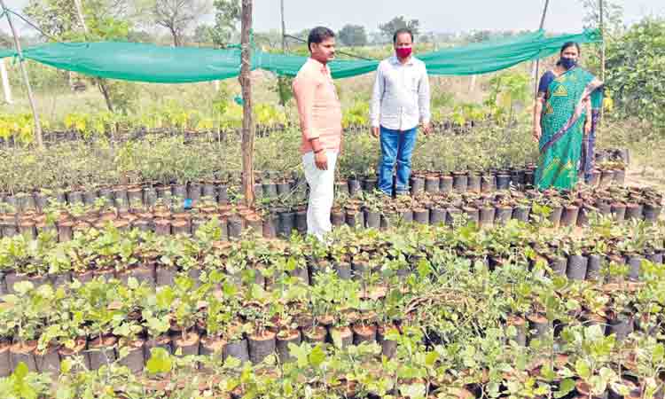 హరిత సంకల్పం