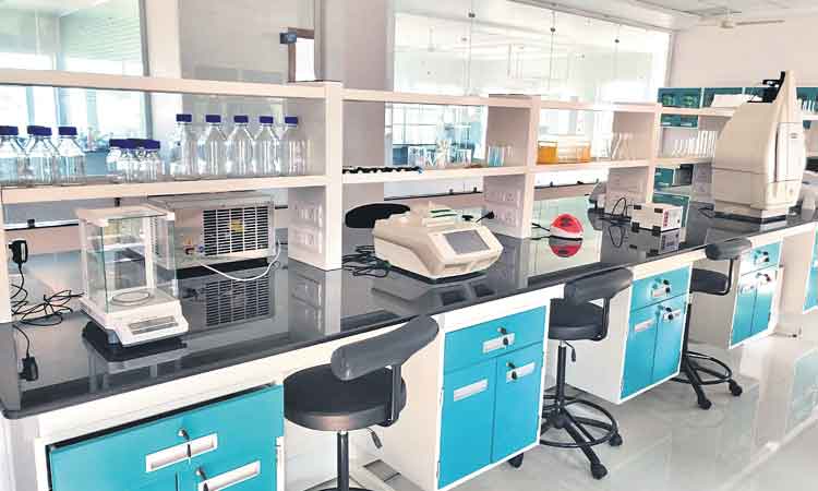 నేడు విత్తన పరీక్ష కేంద్రం ప్రారంభం