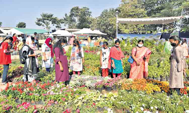 విహరిస్తూ..ఆస్వాదిస్తూ..