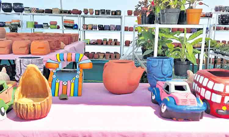 నర్సరీ మేళాను చూసొద్దాం
