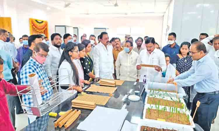 విత్తన భాండాగారం..తెలంగాణ