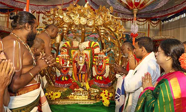 కల్పవృక్ష వాహనంపై శ్రీ రాజమన్నార్‌ అలంకారంలో శ్రీనివాసుడు..