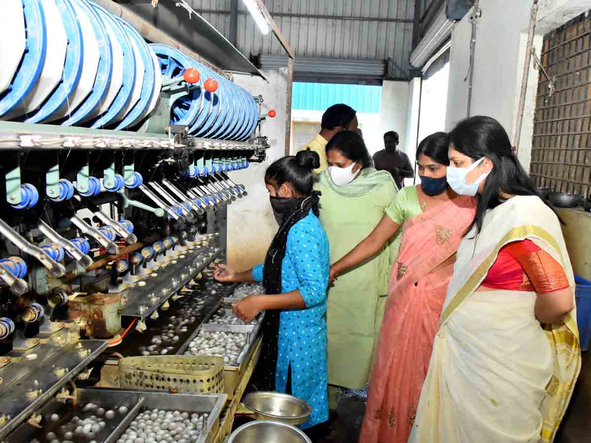 self employment : యువతకు స్వయం ఉపాధి కల్పించడం హర్షనీయం.. కలెక్టర్‌ పమేలా సత్పతి