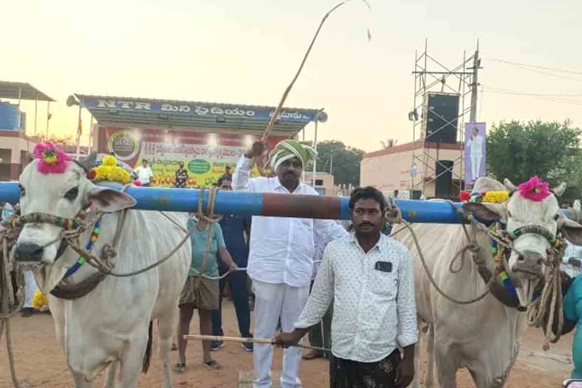 సంస్కృతీ సంప్రదాయాలు ప్రతిబింబించేలా సంబురాలు