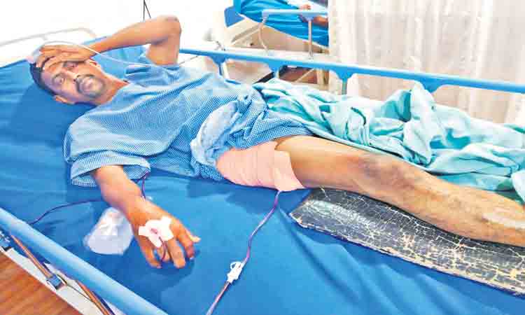 మానవత్వాన్ని చాటిన ‘శాలివాహన’