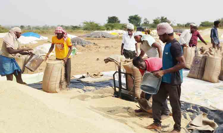 వడ్ల కొనుగోళ్లు పూర్తి