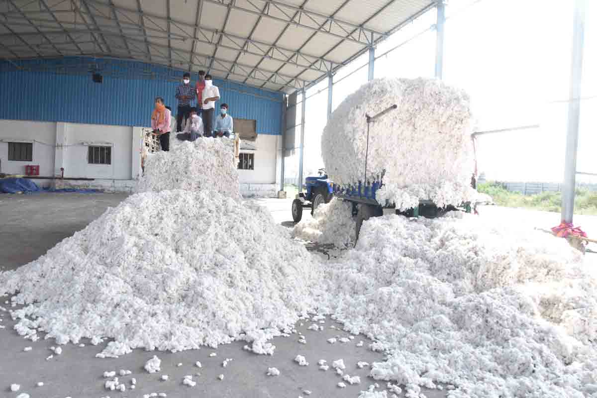 తెల్ల బంగారం ధర కొత్త రికార్డు