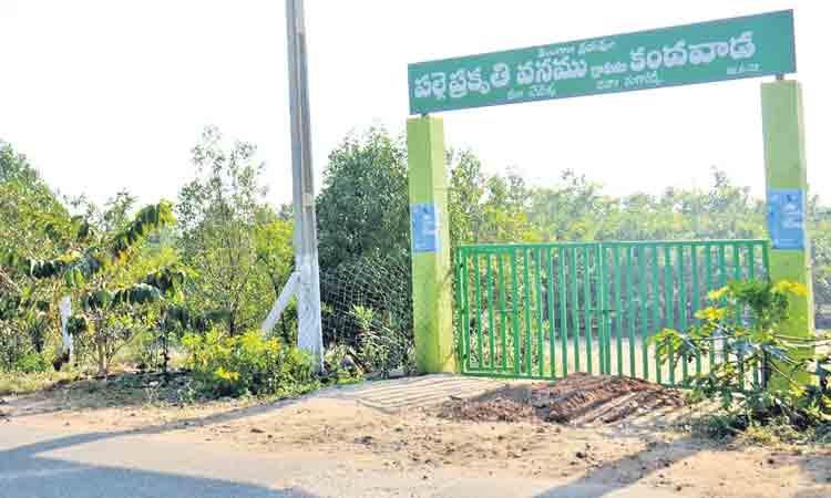 పల్లెలకు ప్రగతి సొబగులు